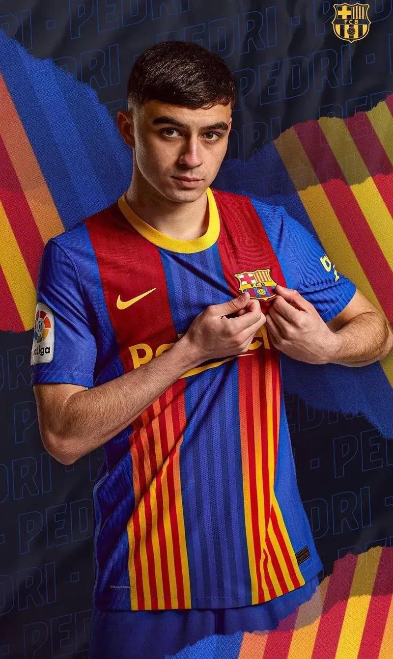 意大利横扫智利，费兰·托雷斯制霸全场