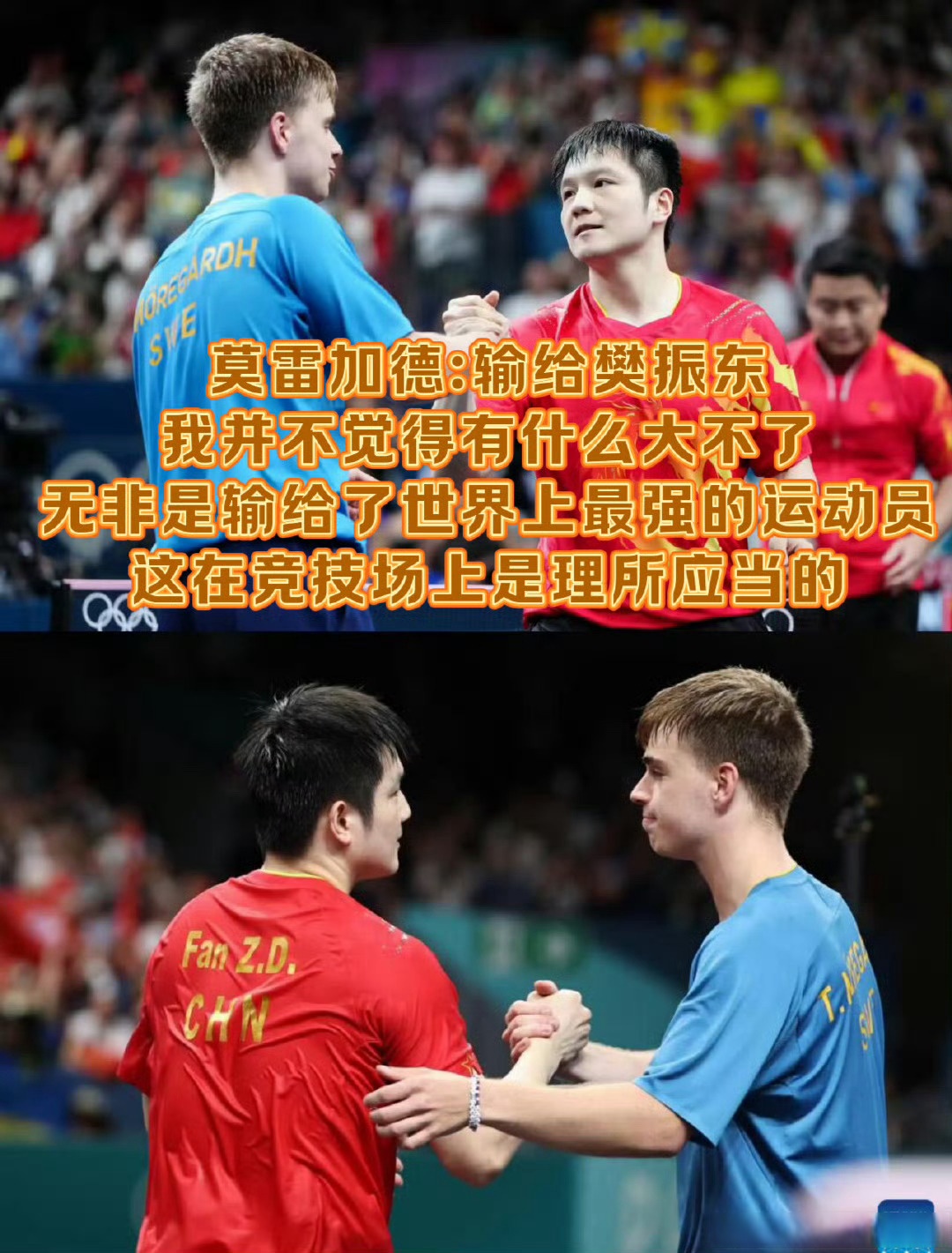 包含英格兰队碾压法国队，樊振东状态火热的词条