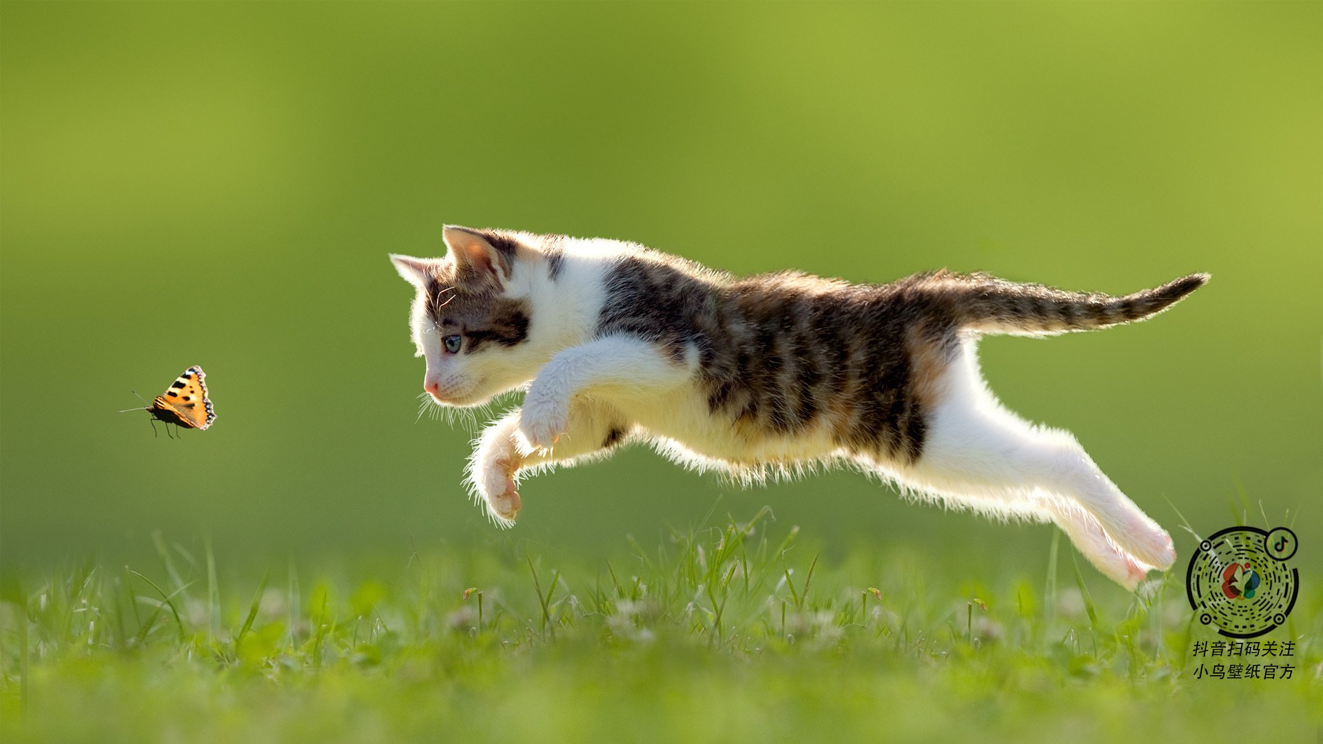 灰熊撕碎雄鹿铁幕，布克单骑破局，两种唯一性的胜利哲学