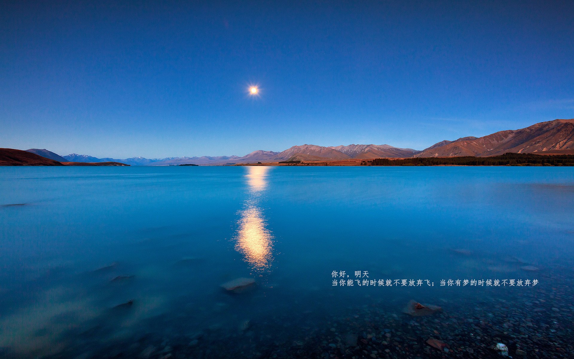 血与金，奥地利逆袭铁幕，意大利琴弦奏响蓝调诗篇
