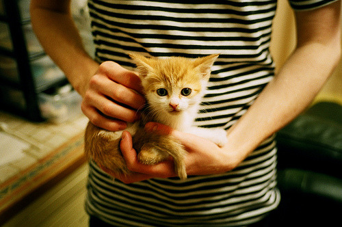 赛道黄昏，当绝杀遇见传奇