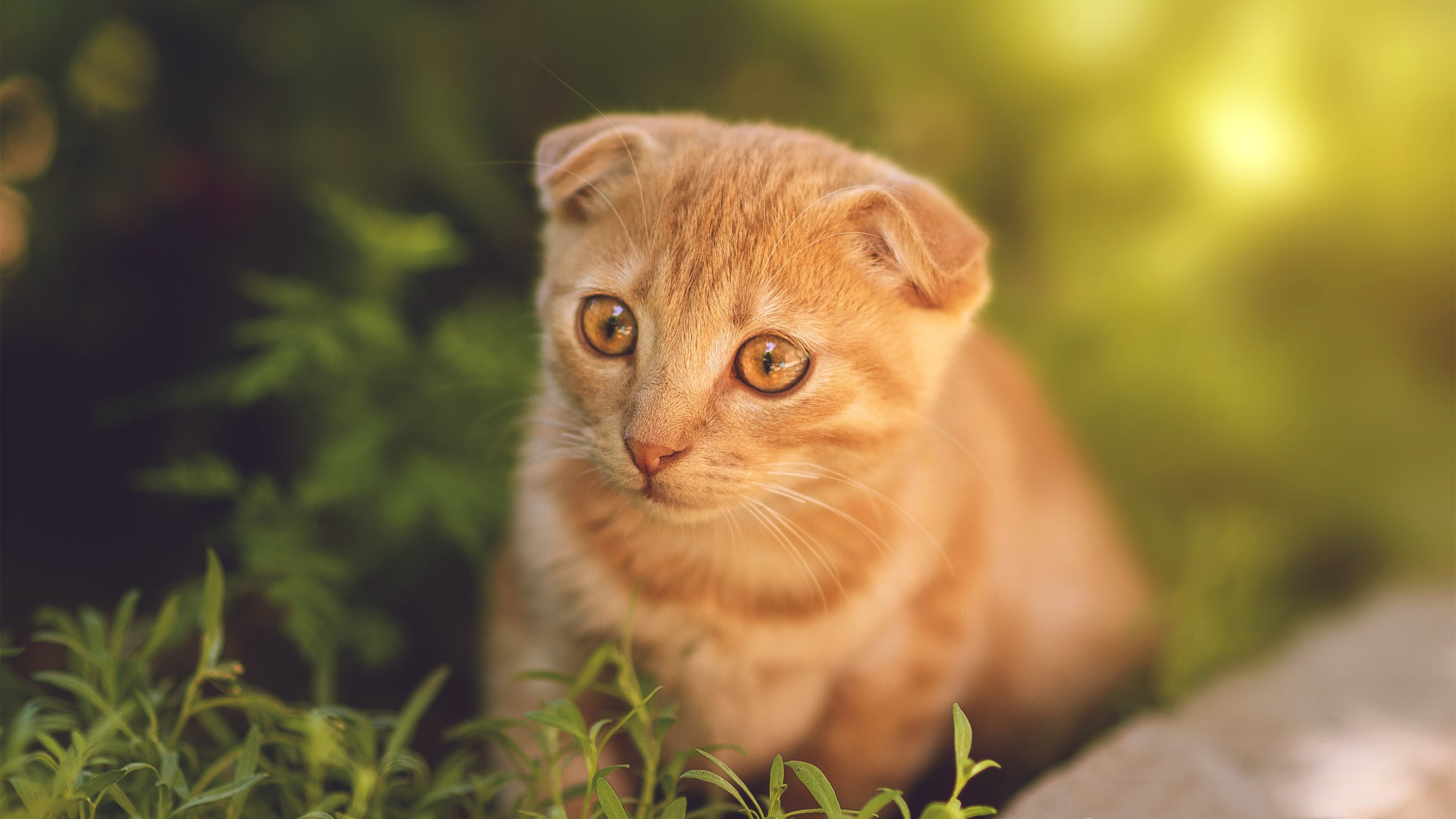 错位时空,阿圭罗在瑞士对阵那不勒斯的慈善赛中,完成压力下的最后一次证明