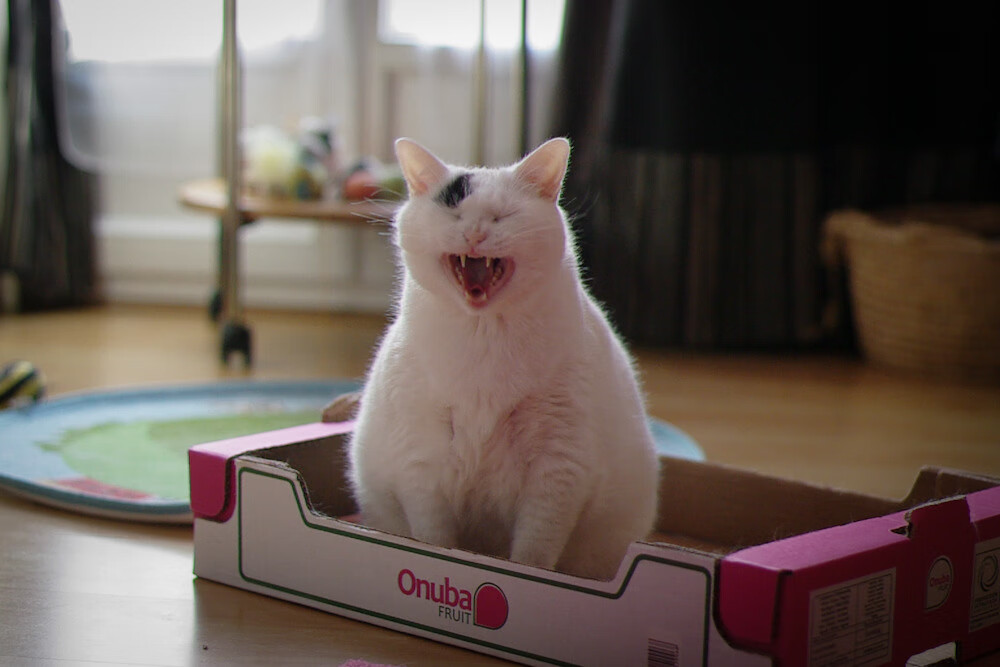 巴黎之矛刺穿时代疑云，年度焦点之夜，姆巴佩用统治级表现书写无争议的定义