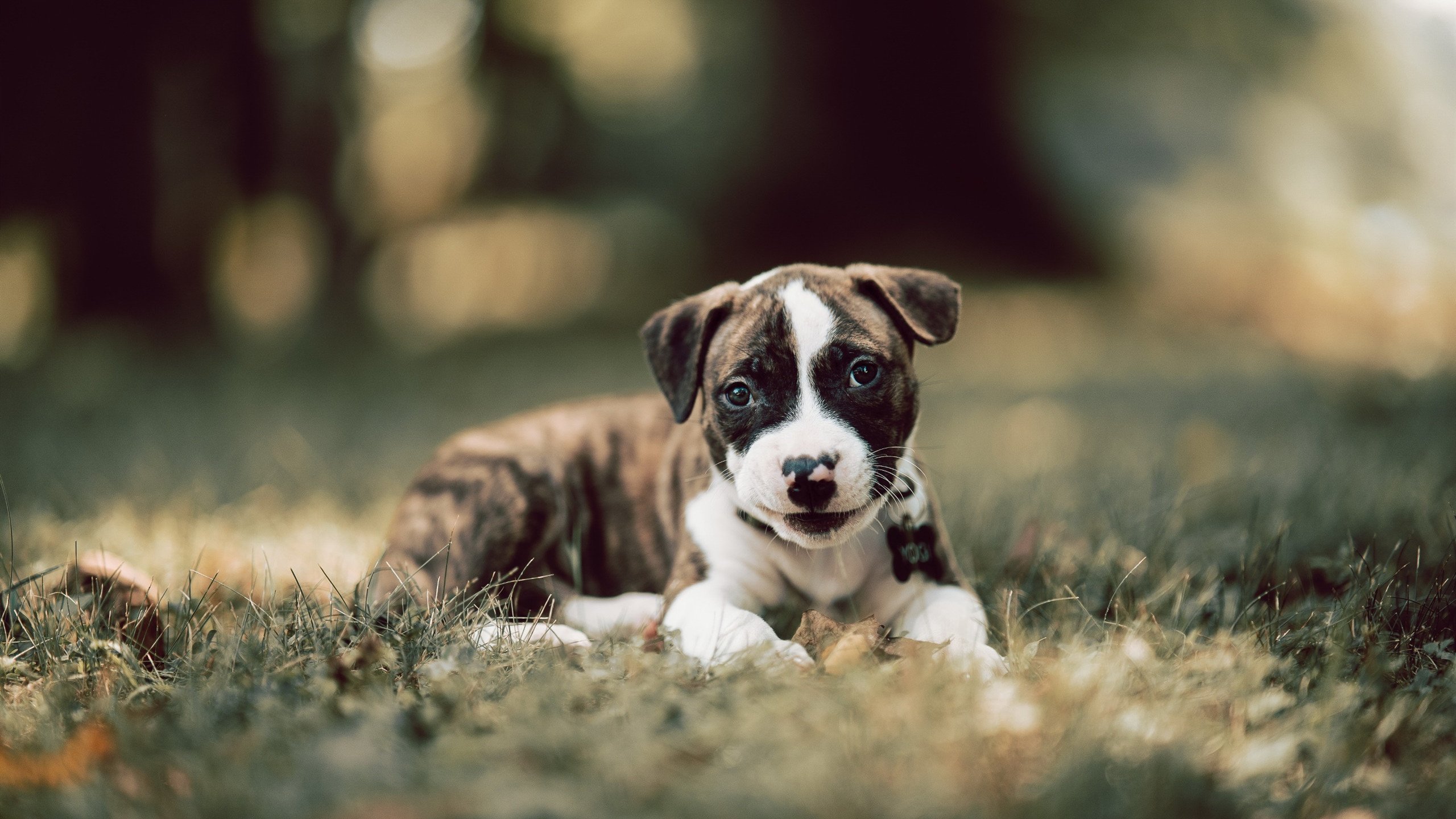 从足球场到篮球馆，格纳布里在NBA总决赛的跨界接管，哥斯达黎加碾压乌拉圭的余韵