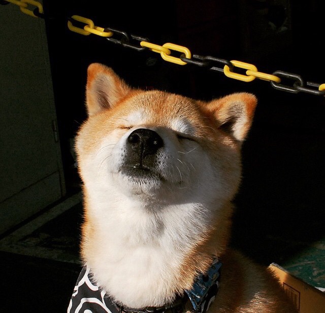 唯一性诞生！孔德爆发化身关键先生，国际米兰读秒绝杀改写韩国魔咒