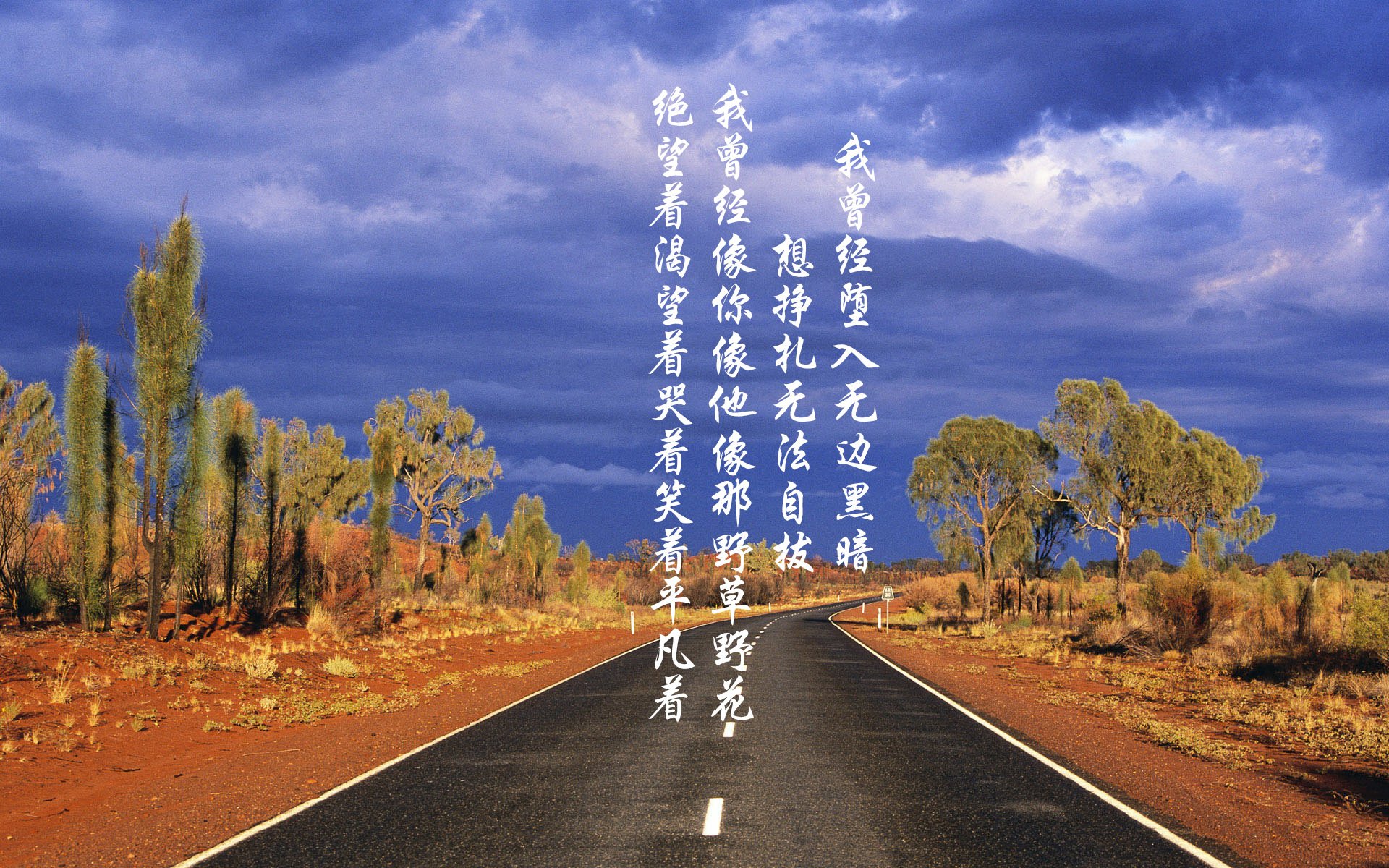 两个世界的撞击，当约基奇的工匠篮球撞上纽约的速度洪流