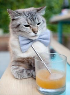 绿茵上的不落星辰，当苏亚雷斯化身黑星，一记倒钩穿越沙漠与雨林