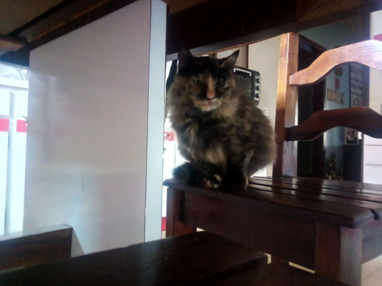 魔都结界与广厦之巅，当小贾伦在唯一时空中加冕硬仗之王