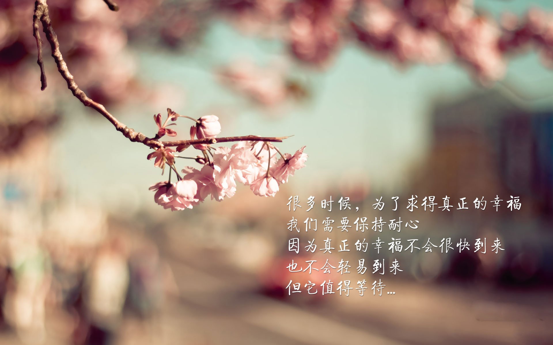 沙漠风暴再临，2026世界杯，拉什福德如何用一场全场压制复刻历史，让沙特淹没意大利的蓝衣荣耀