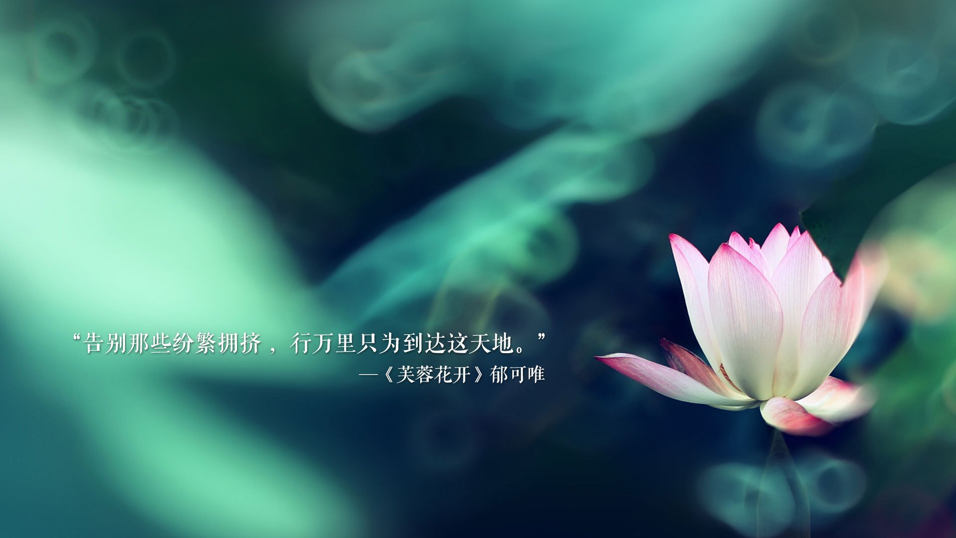 一球定乾坤，坎塞洛导演边缘博弈，荷兰临场变阵险胜罗马尼亚