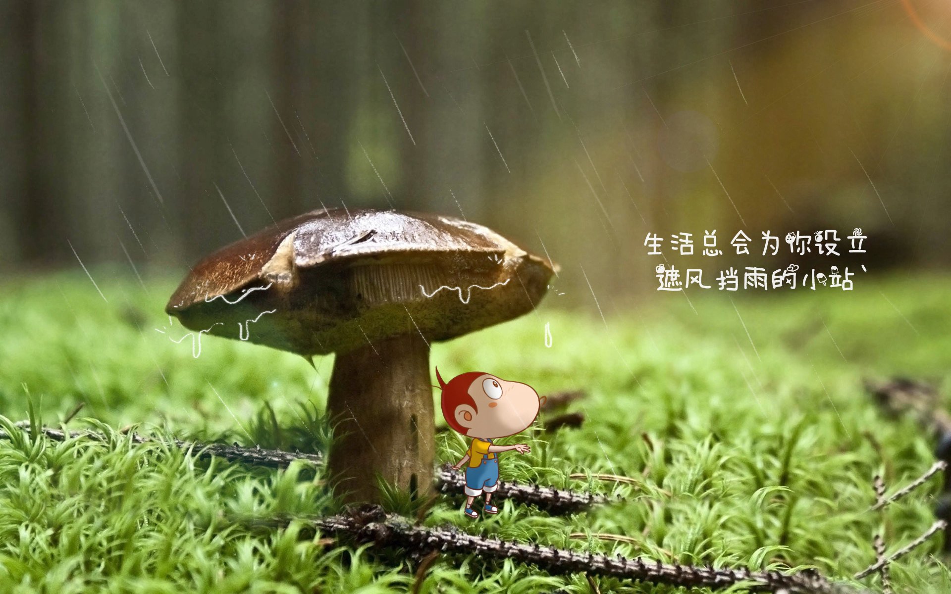 血与火的独白,2026年E组生死战,葡萄牙的铁蹄与苏亚雷斯的绝命刀