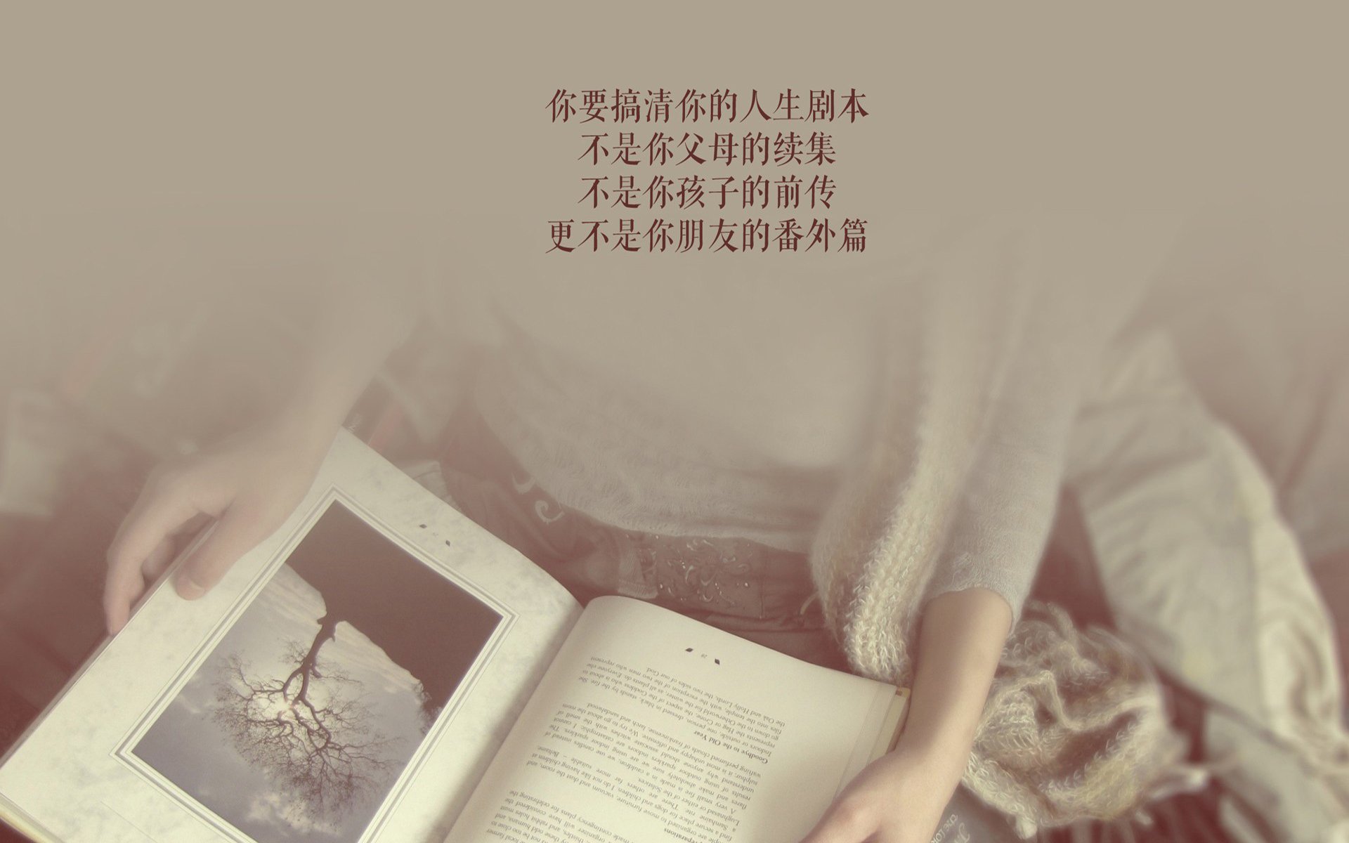 法兰西之墙，智利之矛，与B费那唯一的致命一传
