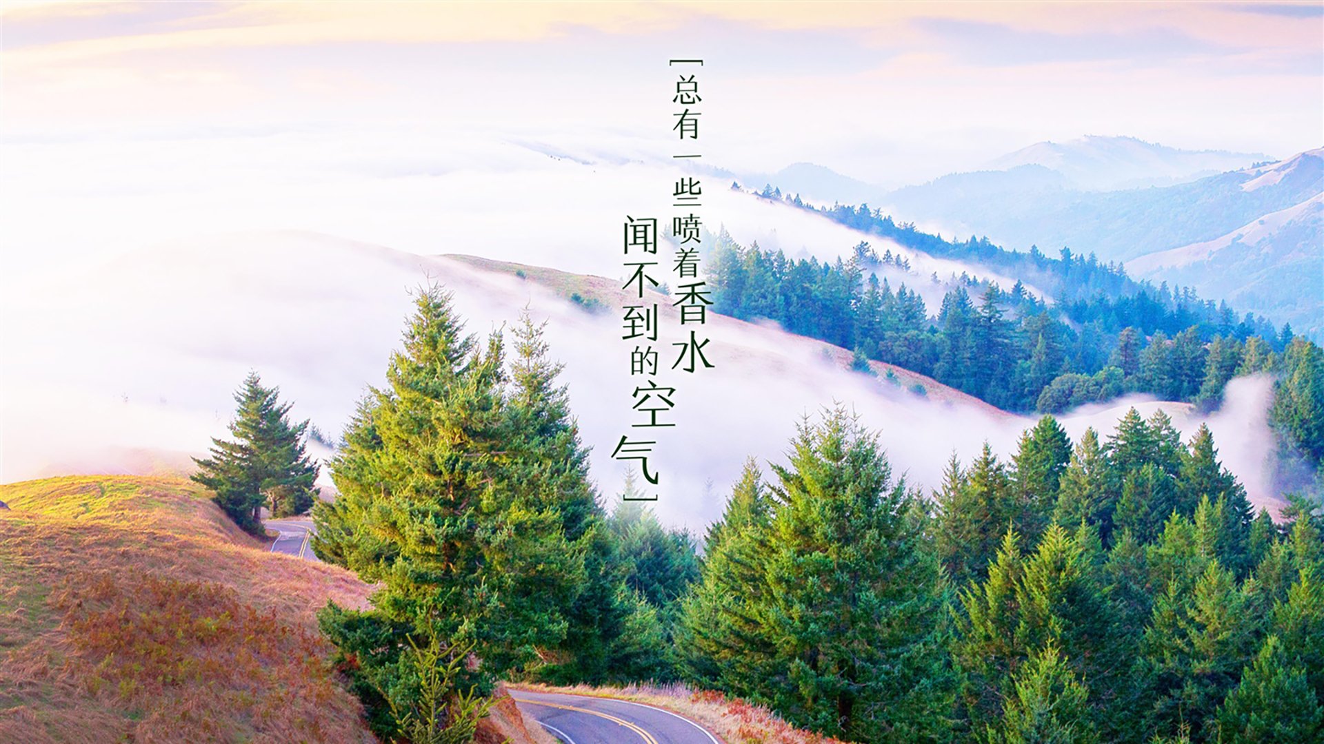 这是一篇融合了虚构未来与现实足球元素的文章。为了满足唯一性和C罗带队的设定，我们将时间线设定在2026年（C罗41岁，仍在为葡萄牙征战）并加入了加纳爆冷击败尼日利亚的戏剧性情节