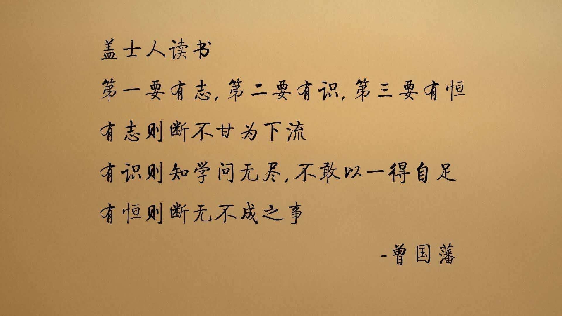 2026世界杯焦点战，厄瓜多尔完胜塞尔维亚，穆西亚拉带队书写南美荣耀