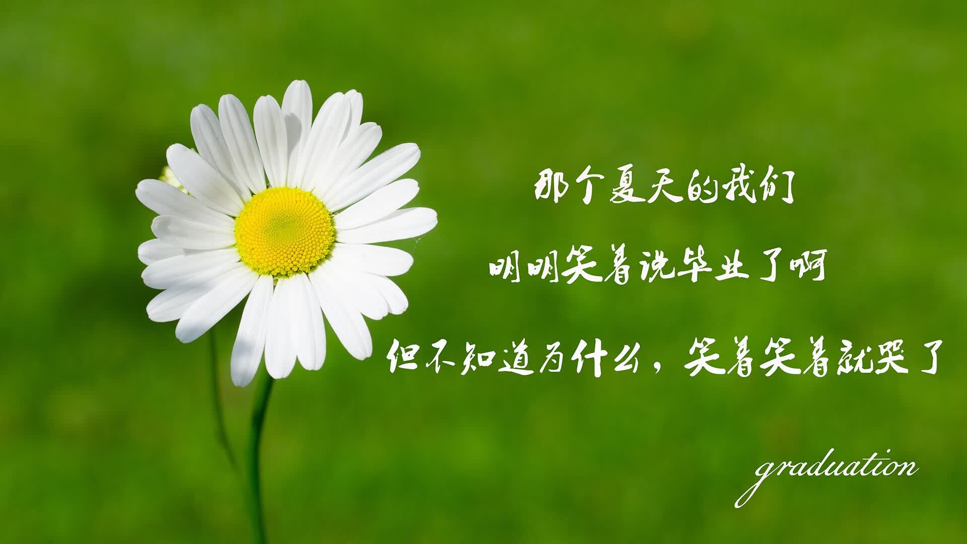 蓝桥绝杀,当苏亚雷斯的灵光撞上尼日利亚的钢铁意志—2026世界杯决赛神话始末