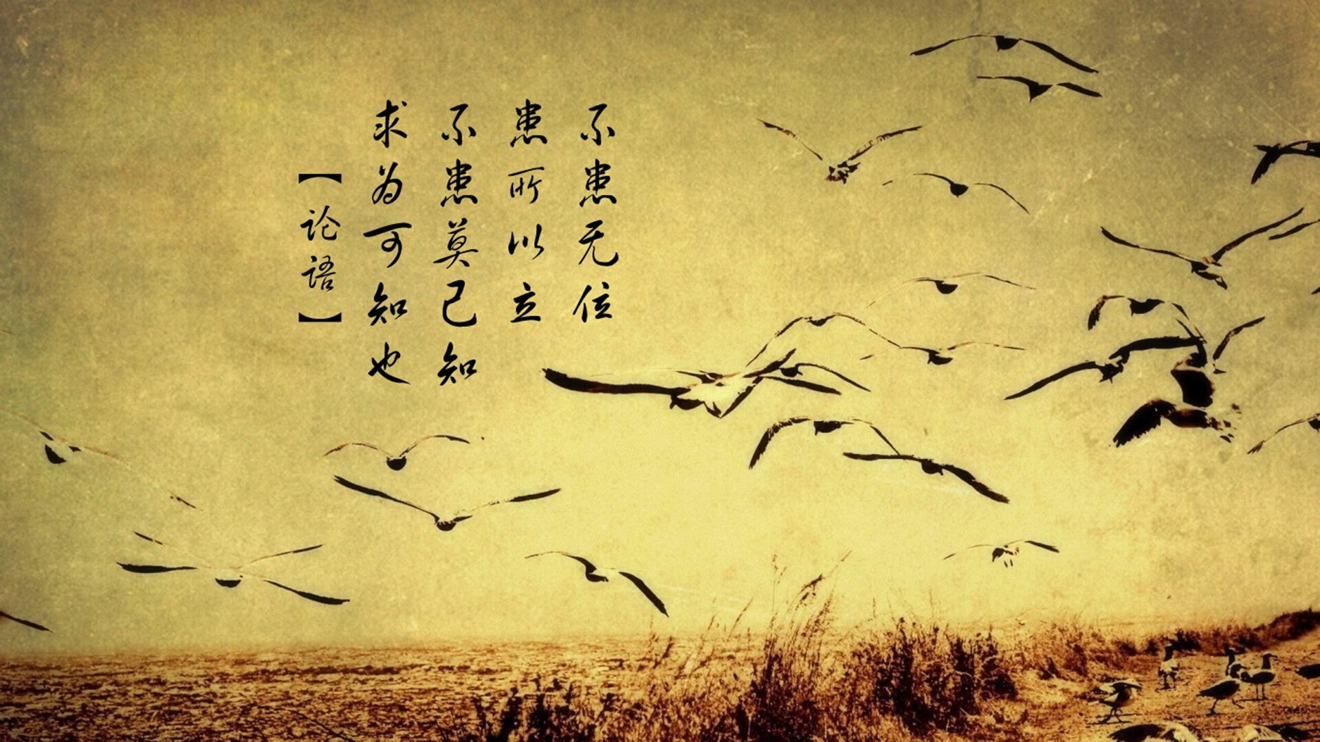 唯一性对决，当德意志战车碾过东瀛武士，库尔图瓦筑起不可逾越的铜墙铁壁