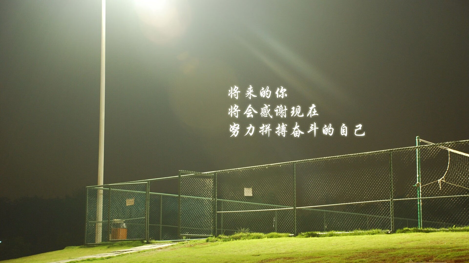 B组暗战,当安第斯雄鹰俯冲波斯铁骑,莱万用进球宣告世界杯新王序章